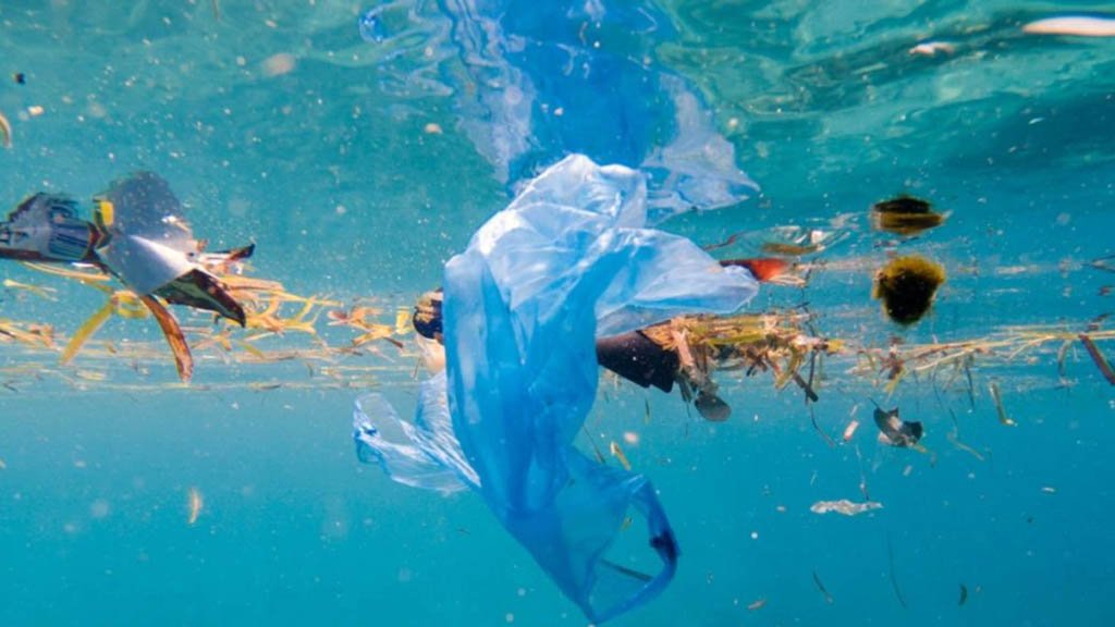 Contaminación marina con botellas de plástico y basura en una playa, reflejando el origen terrestre del problema. Fuente: SEO/BirdLife.